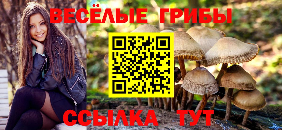 Псилоцибиновые грибы прущие грибы  Вход с VPN  Железноводск  Псилоцибиновые грибы Magic Shrooms 
