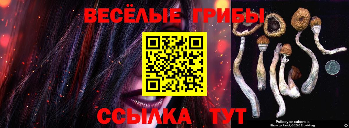 Галлюциногенные грибы GOLDEN TEACHER Железноводск